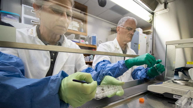 Moon Soil successfully grows Earth plants for the first time in history