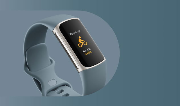 Fitbit Charge