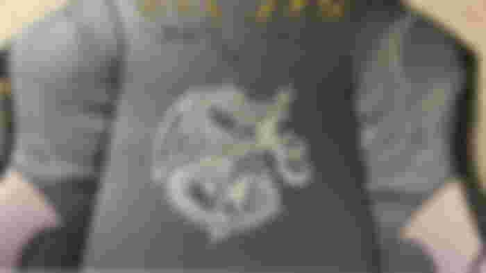 The front part of the Secretlab TITAN Evo Monster Hunter chair with the iconography of the Fatalis, the claws, and the wings