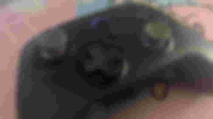 An Amazon Luna Review controller testing on a pink pusheen desk mat