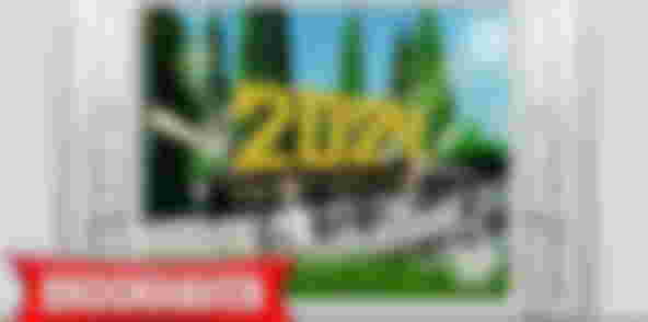 Most Popular Roblox Games
