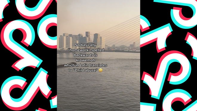 Screenshot of a TikTok video claiming 'homework' spelled backwards is 'krowemoh', which falsely translates to 'child abuse' in Latin, with a view of a bridge and cityscape in the background.