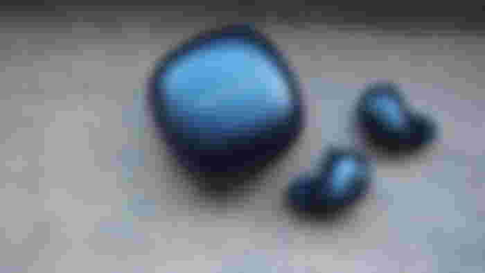 Raycon invisible earbuds and case
