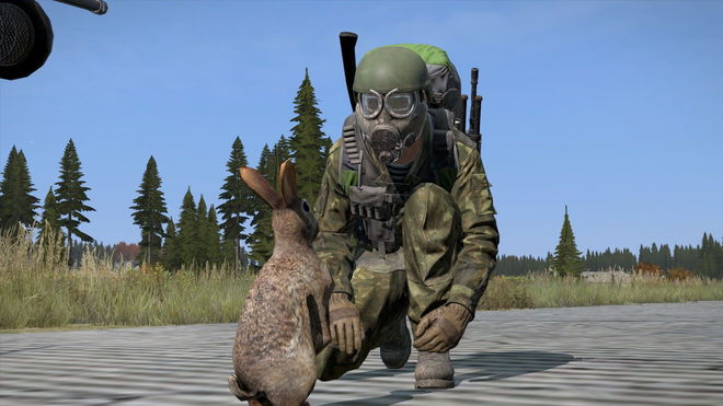 Get wrench in DayZ - character with rabbit