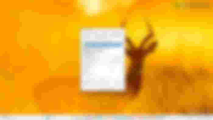 Check File and Folder Permissions