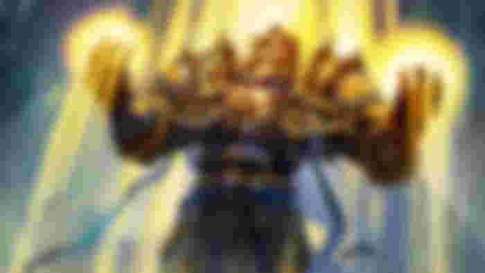 Holy Paladin class