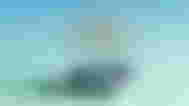 Chatgpt anmated logo