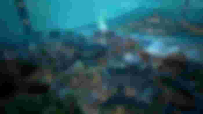 Valorant pearl map - how to fix Valorant screen tearing