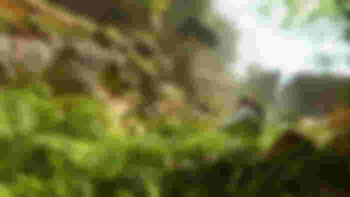 Ark: Survival Ascended - multiple dinosaurs somewhere in the jungle