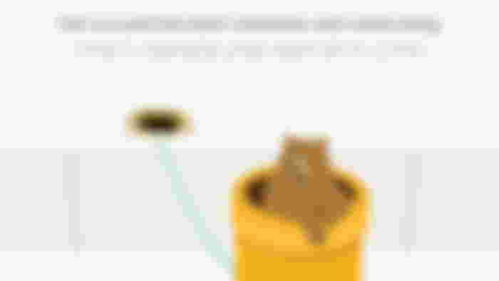 TunnelBear VPN
